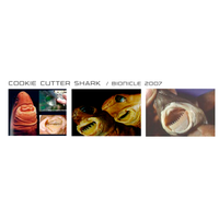 Cutter Shark-DJK4Hmkj.jpg